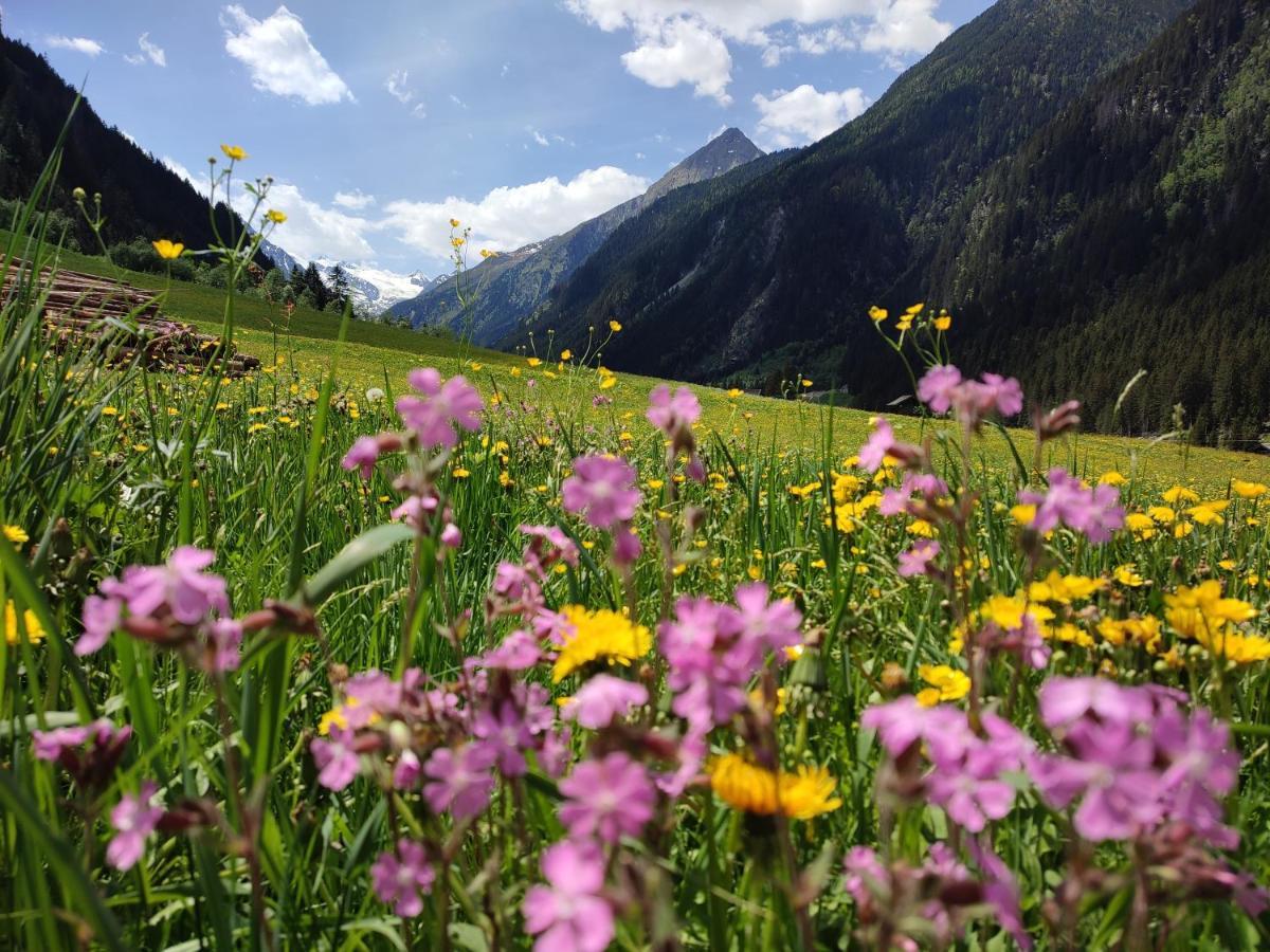 Haus Ferchl * Neustift im Stubaital